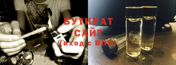 прущие грибы Балабаново