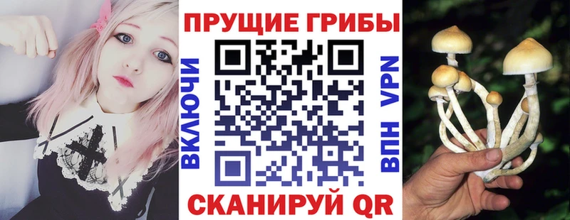 Псилоцибиновые грибы MAGIC MUSHROOMS  закладки  OMG ONION  Южноуральск 